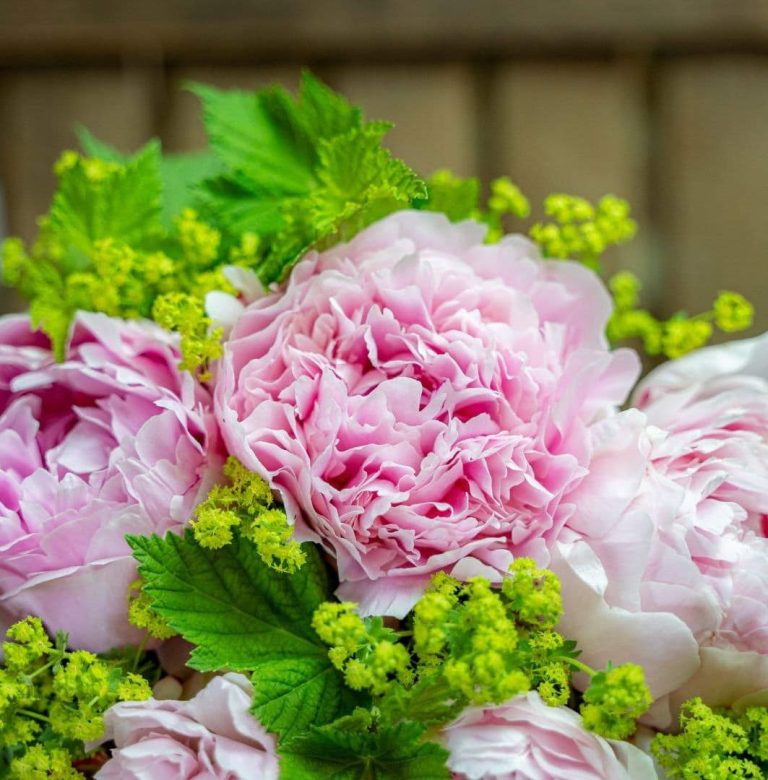 Bouquet de pivoines roses pour la fête des mères